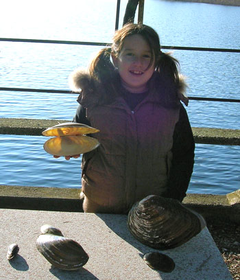 cozze_giganti