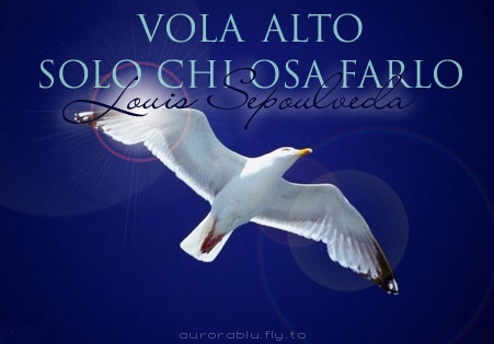 vola