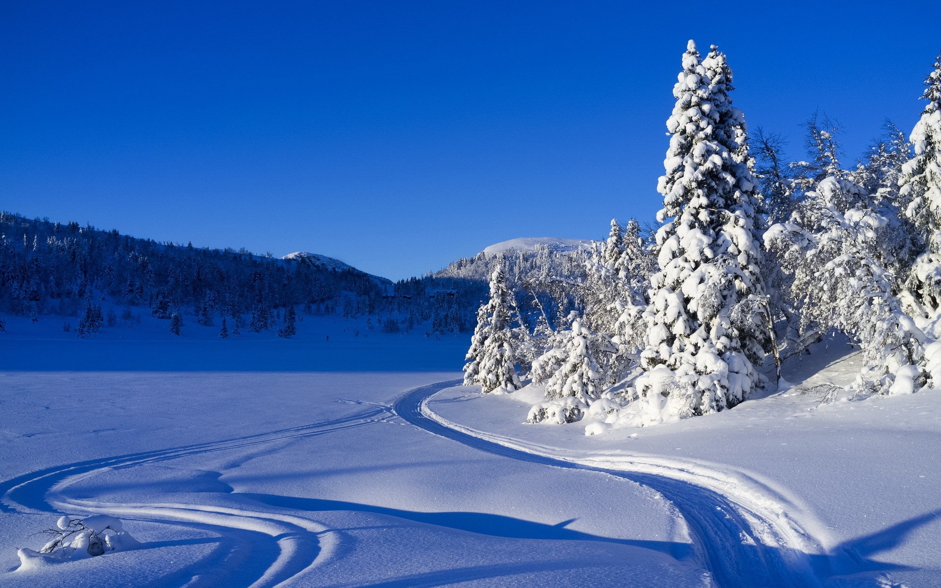 inverno